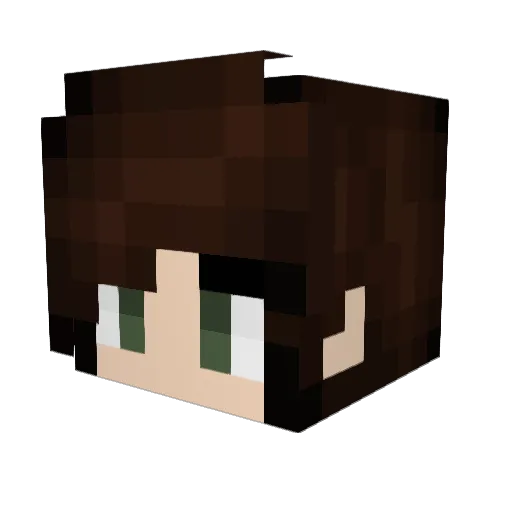 AMERUY Minecraft avatar head, 3D render