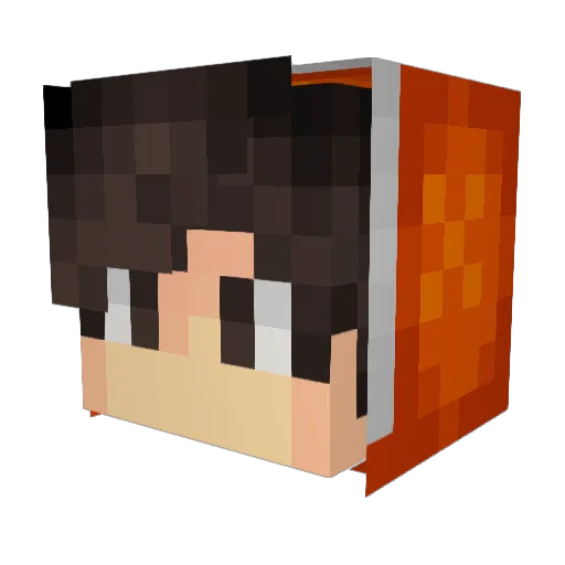 AMIJAVI357 Minecraft avatar head, 3D render