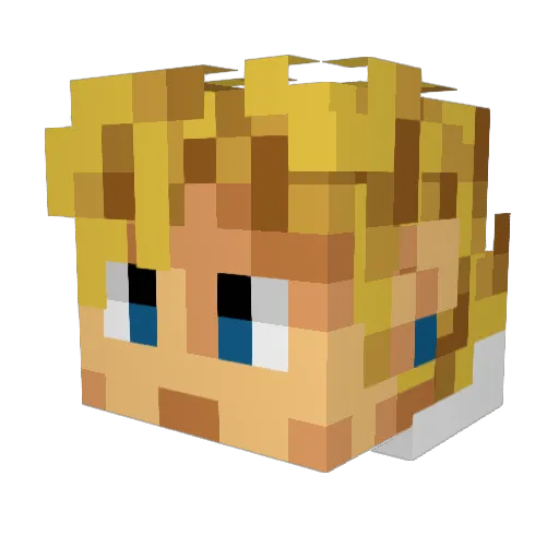 AMINECRAFTER687 Minecraft avatar head, 3D render
