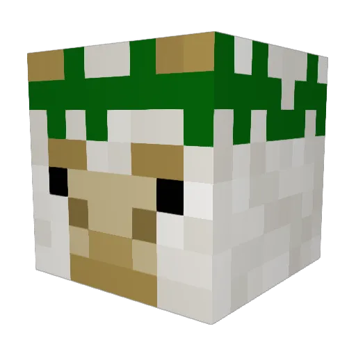AMITTOLEDANO Minecraft avatar head, 3D render