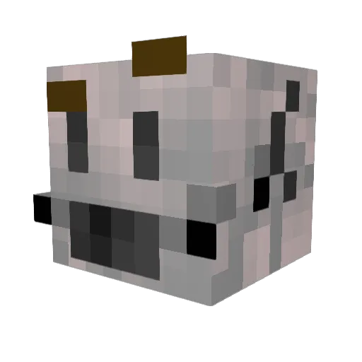 AMJULI Minecraft avatar head, 3D render