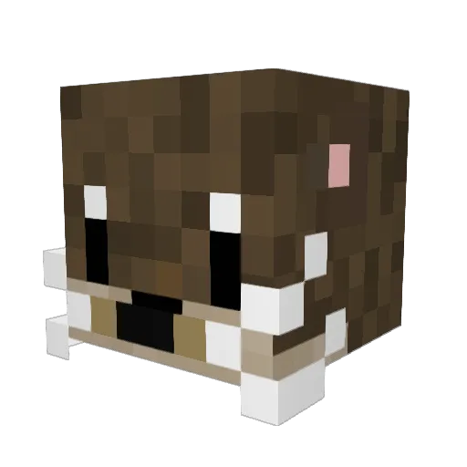 AMJXD Minecraft avatar head, 3D render