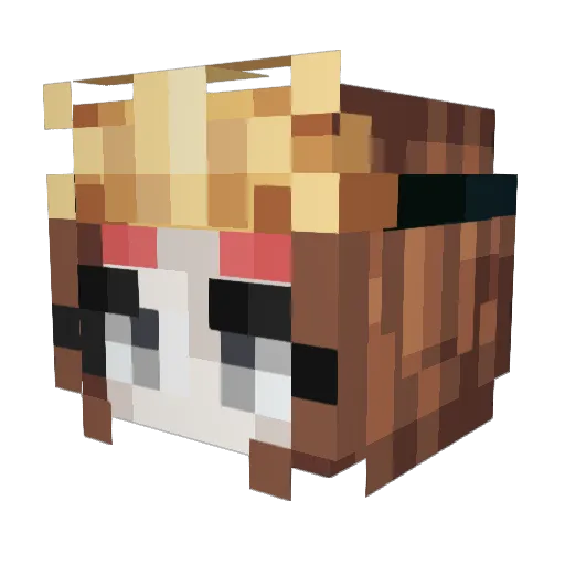 AMM_06 Minecraft avatar head, 3D render