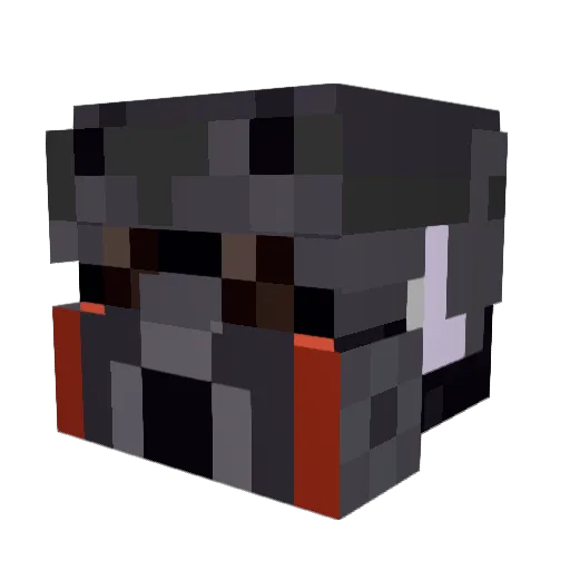 AMOGUS896 Minecraft avatar head, 3D render