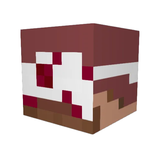 AMPlays20 Minecraft avatar head, 3D render