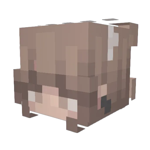 AMY_ORANGE Minecraft avatar head, 3D render