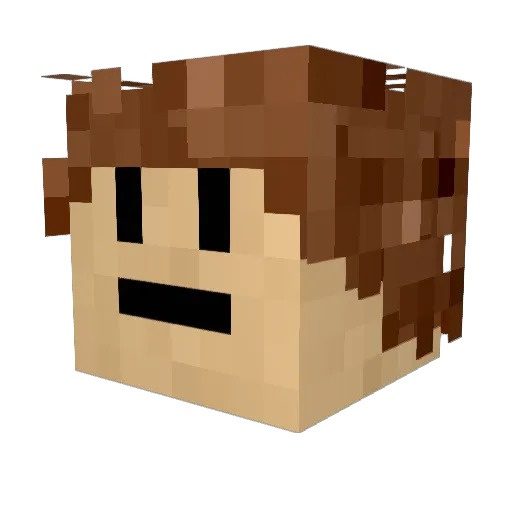 AM_Erizur Minecraft avatar head, 3D render