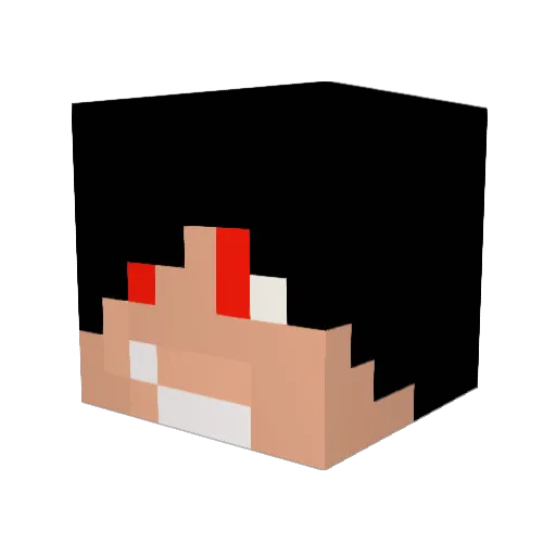 AM_PerrigoNNe Minecraft avatar head, 3D render