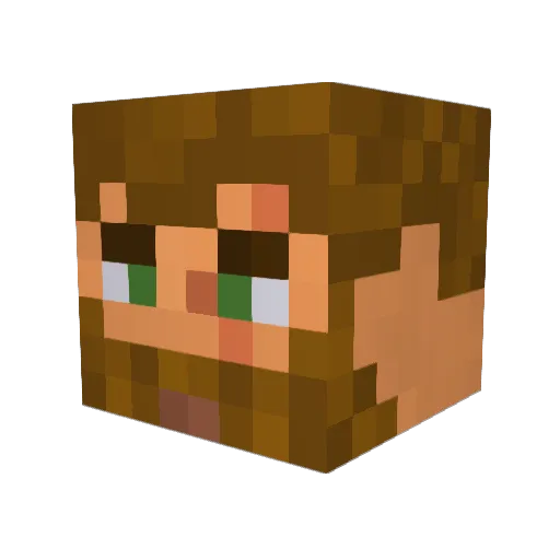 AMoonlessNight Minecraft avatar head, 3D render