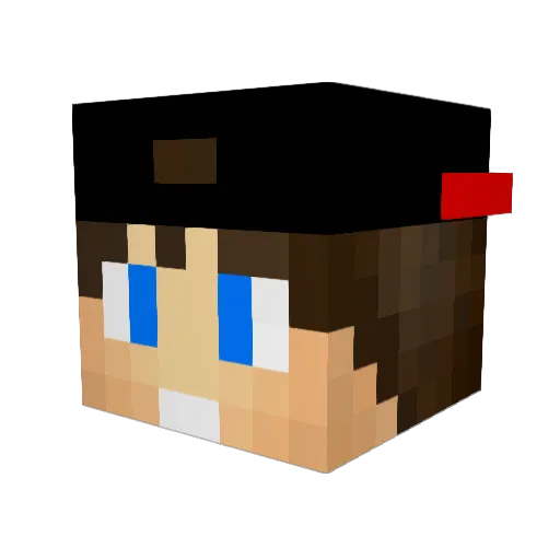 AMplays Minecraft avatar head, 3D render
