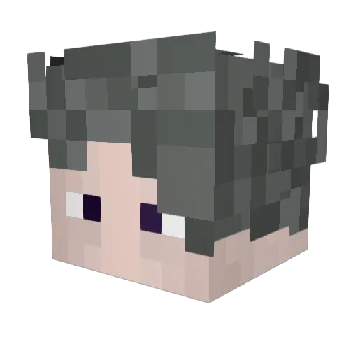 AN1F_ Minecraft avatar head, 3D render