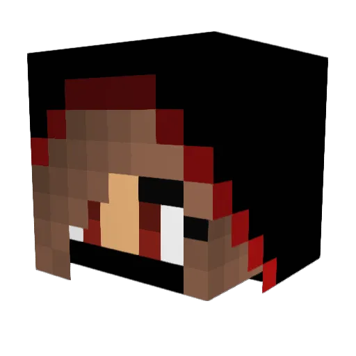 ANAGRACE Minecraft avatar head, 3D render