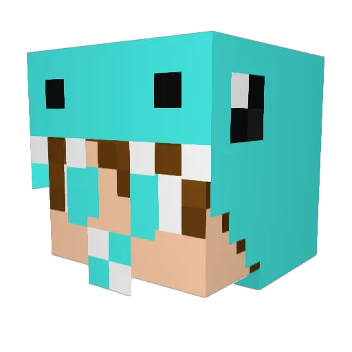 ANAL_BEADS Minecraft avatar head, 3D render