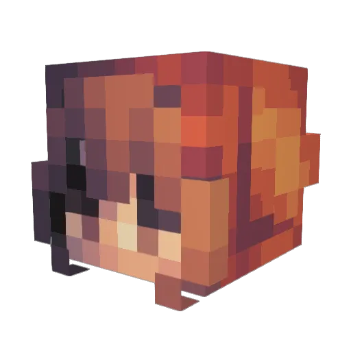 ANAPAOM Minecraft avatar head, 3D render
