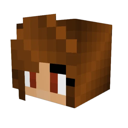 ANATNT5 Minecraft avatar head, 3D render