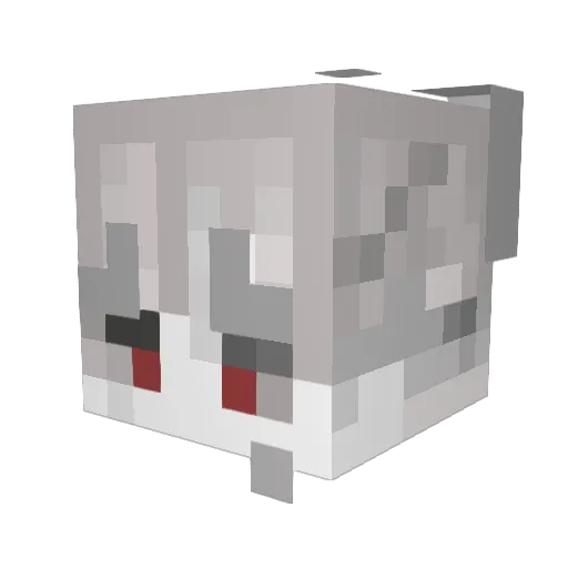 ANAX_CZ Minecraft avatar head, 3D render