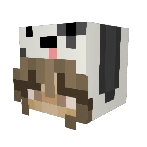 ANA_KALAC Minecraft avatar head, 3D render