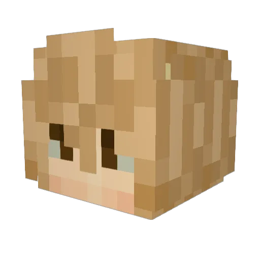 ANCHORZINHO Minecraft avatar head, 3D render