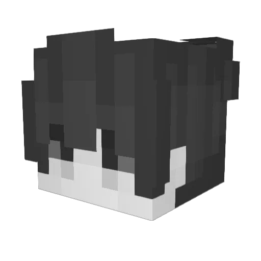 ANDOIBOI6767 Minecraft avatar head, 3D render