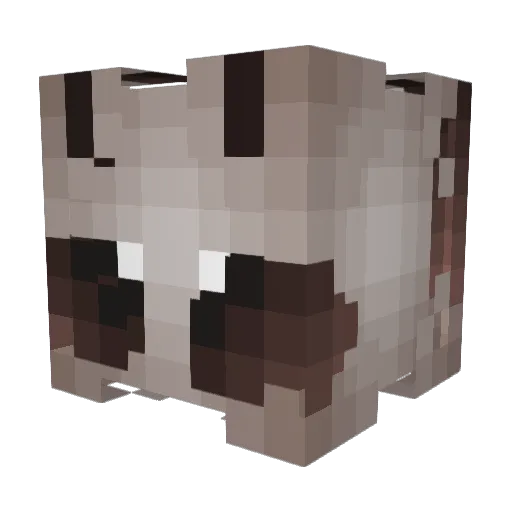 ANDRETHOZI Minecraft avatar head, 3D render