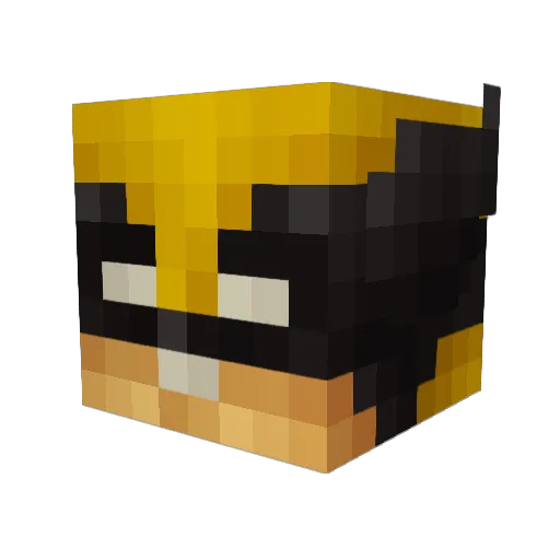 ANDS0 Minecraft avatar head, 3D render