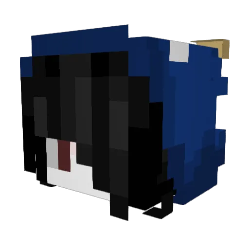 ANDYizC00L Minecraft avatar head, 3D render