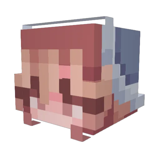 ANEJI Minecraft avatar head, 3D render
