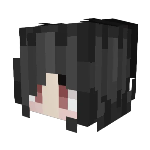 ANEXZA Minecraft avatar head, 3D render
