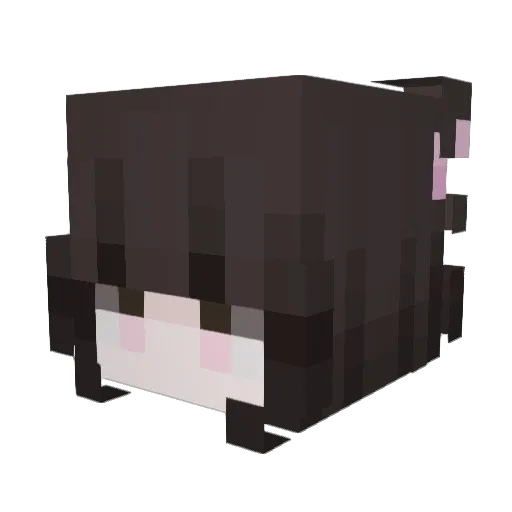 ANGEXLII Minecraft avatar head, 3D render