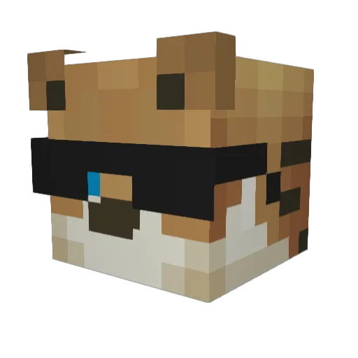 ANGRIS Minecraft avatar head, 3D render
