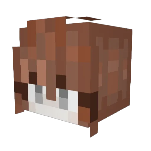 ANGRYMOB333 Minecraft avatar head, 3D render
