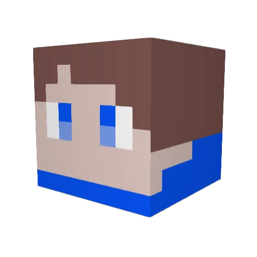 ANIP0 Minecraft avatar head, 3D render