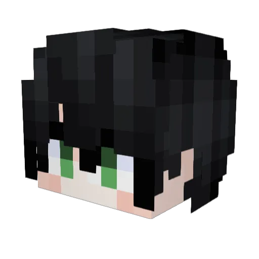 ANISUA Minecraft avatar head, 3D render