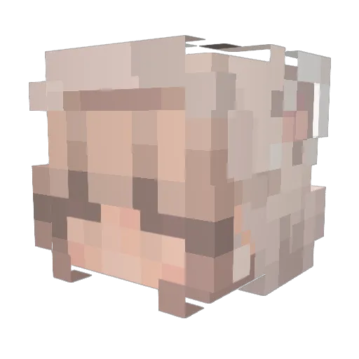 ANK_52 Minecraft avatar head, 3D render