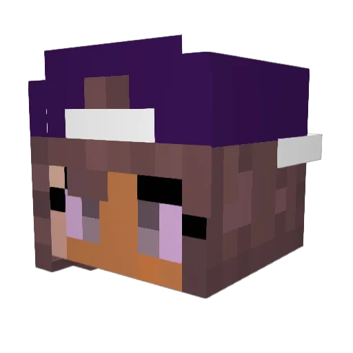 ANN1234567 Minecraft avatar head, 3D render