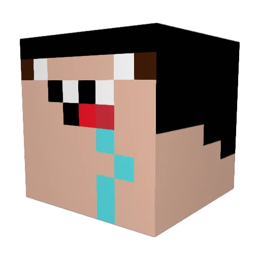 ANOYINGl0l Minecraft avatar head, 3D render