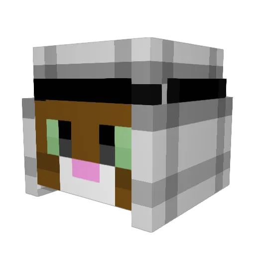ANR2005 Minecraft avatar head, 3D render