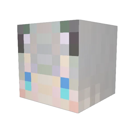 ANRITTA Minecraft avatar head, 3D render