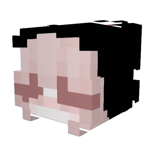 ANSJSMSRNLDUDNJ Minecraft avatar head, 3D render
