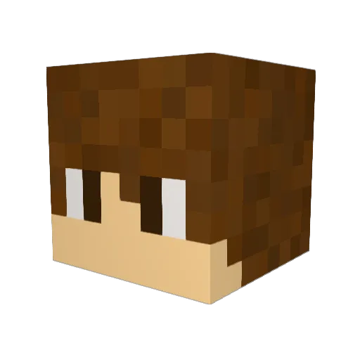 ANTHONYHAISE Minecraft avatar head, 3D render