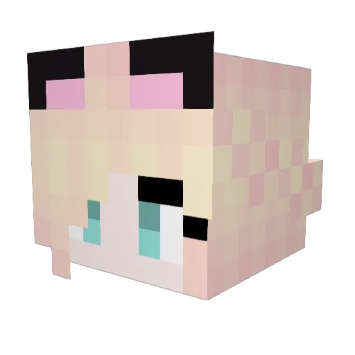 ANTIBIOS Minecraft avatar head, 3D render