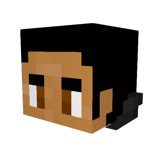 ANTSTIR Minecraft avatar head, 3D render