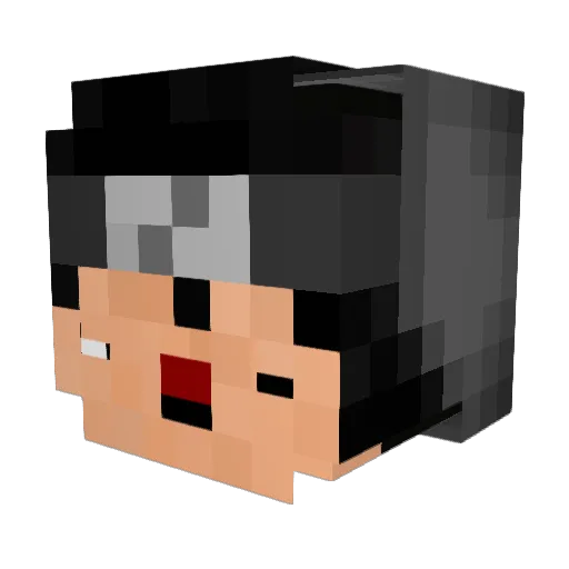 ANUNNAMEDGUY17 Minecraft avatar head, 3D render