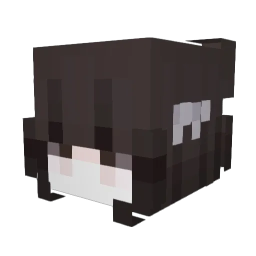 ANXIZZ Minecraft avatar head, 3D render