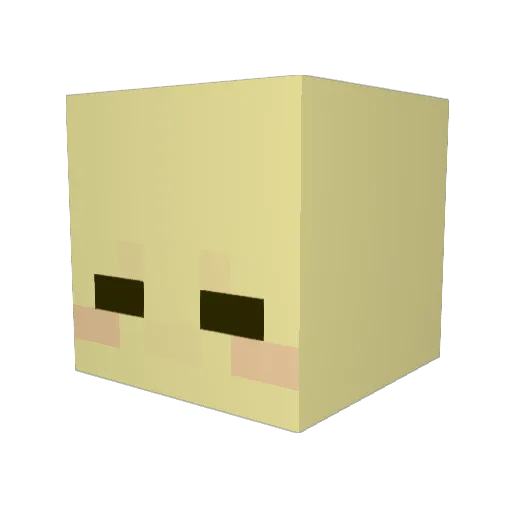 ANYANANYA Minecraft avatar head, 3D render