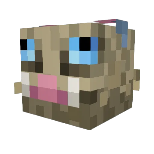 ANZI39 Minecraft avatar head, 3D render