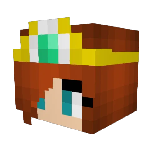 ANZOPOWER Minecraft avatar head, 3D render