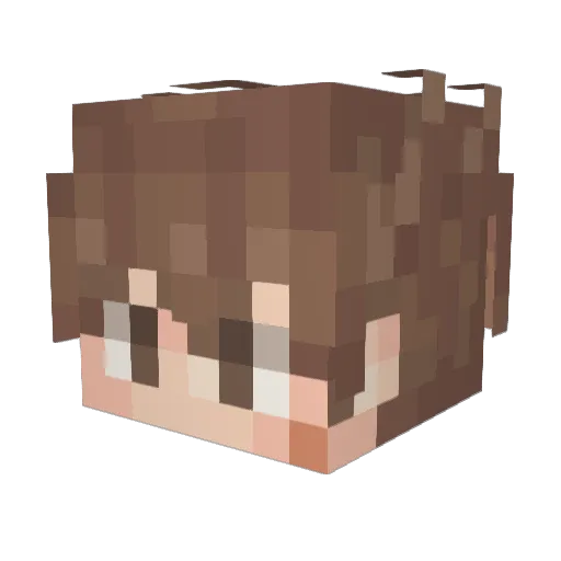 ANZ__ Minecraft avatar head, 3D render