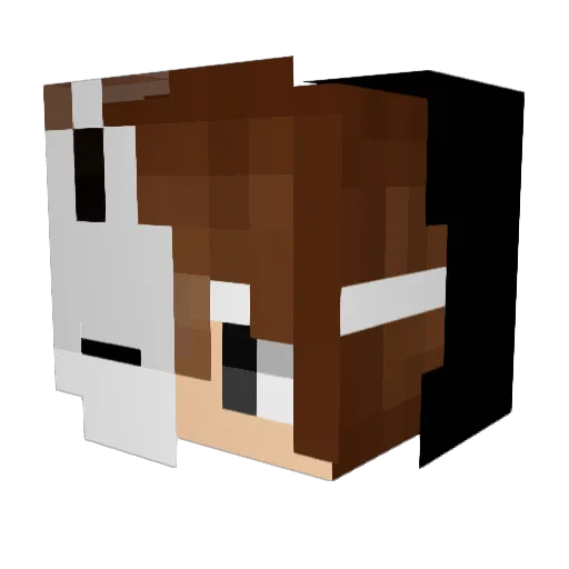 AN_N1N Minecraft avatar head, 3D render