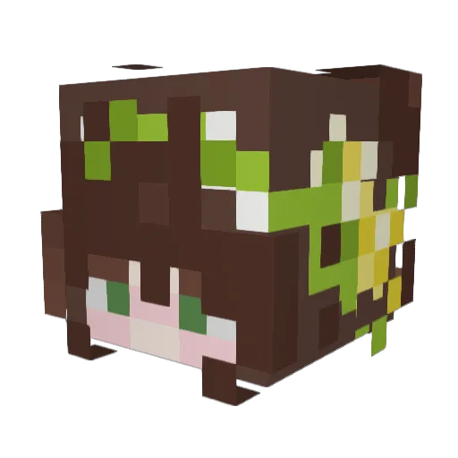 ANamtre Minecraft avatar head, 3D render
